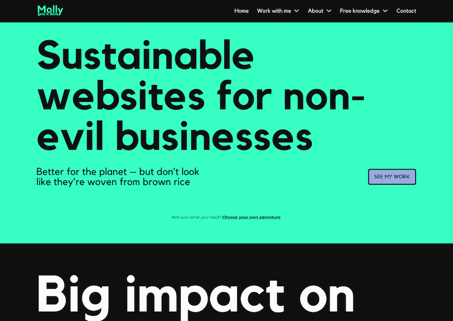 A screenshot of the homepage of mollygetsitdone.com